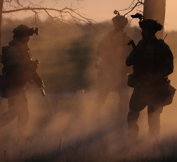 Підрозділи активних дій